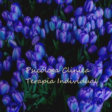 Psicoterapia Individual