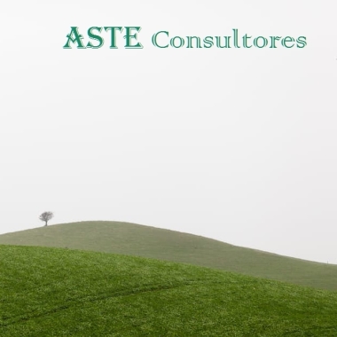 Aste Consultores S.L.