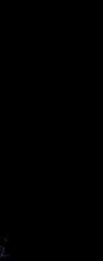 Fotografa 