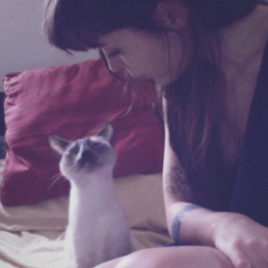 Sophie Promenade Et Visite Chien Et Chat