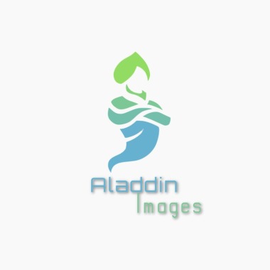 Aladdin Images