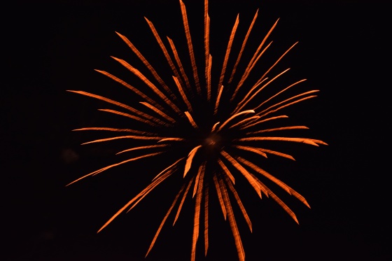 Cheviré-le-rouge - Comice 2015