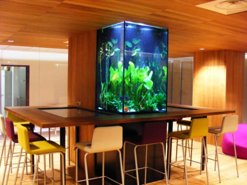 Aquavivier