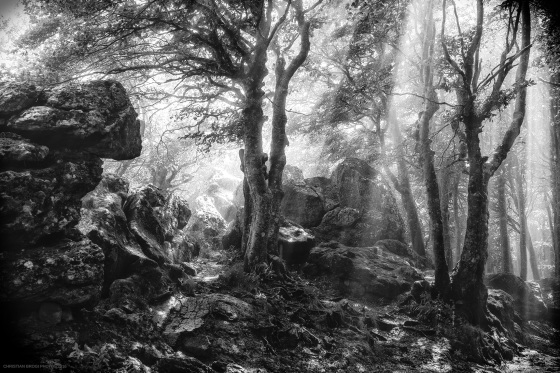 Foto in bianco e nero ritoccata, ambito naturalistico/fantasy della vetta del Monte Amiata - Foto di Christian Brog 2016
