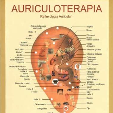 Karina Terapeuta 