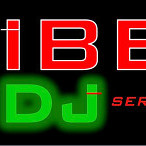Vibe Dj Service