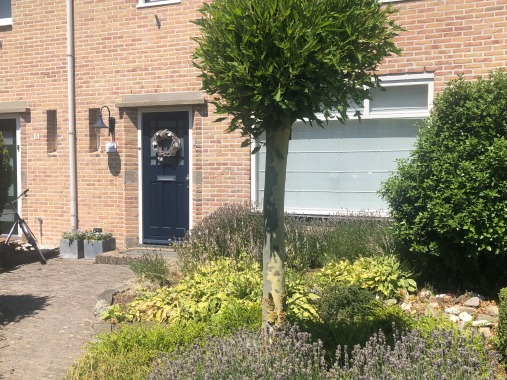 Buitenkant