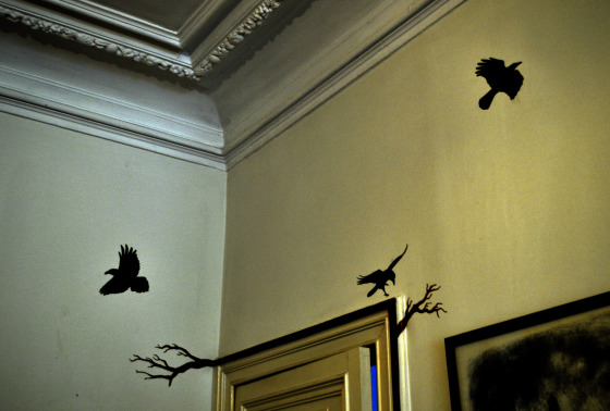 Stikers sur mur - "raven"