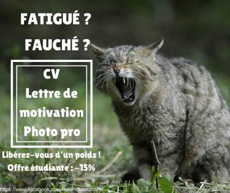 Externalisez votre mise à jour professionnelle !