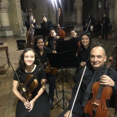 Profesor De Violín,Viola Y Música