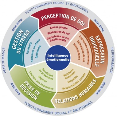 Mesure de votre intelligence émotionnelle : QE