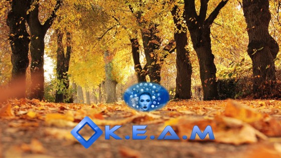 Relooker son site pour l'Automne