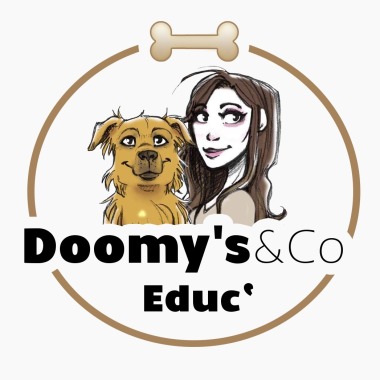 Doomy'S&Co Educ'