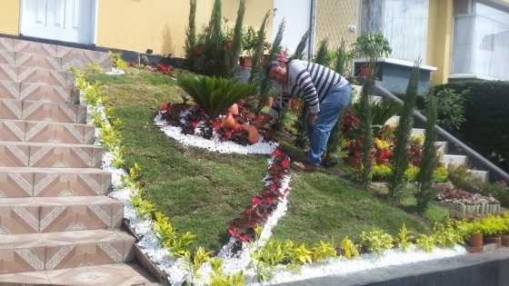  diseño jardineria buenavista