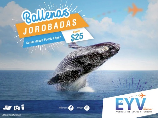 Full day, Puerto Lopez Avistamiento de Ballenas