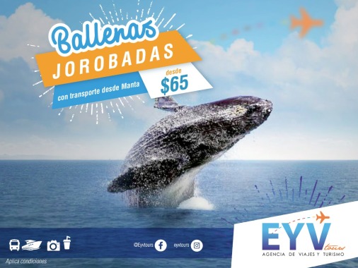 Temporada de Avistamiento de Ballena