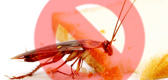 Pest control with warranty