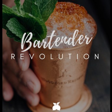 Bartender Revolution