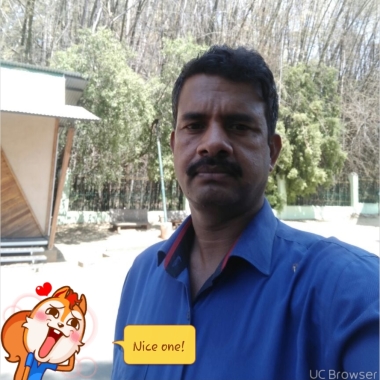 Sharma Entertainment