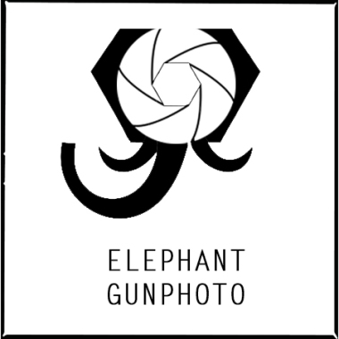Elephant Gun Photo