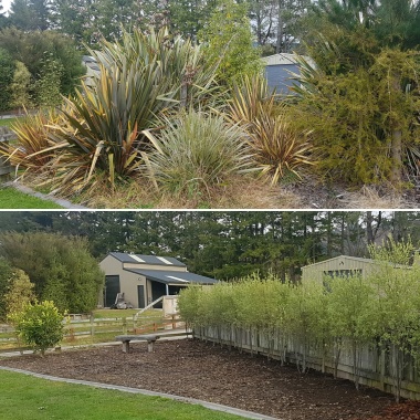 garden redesign
