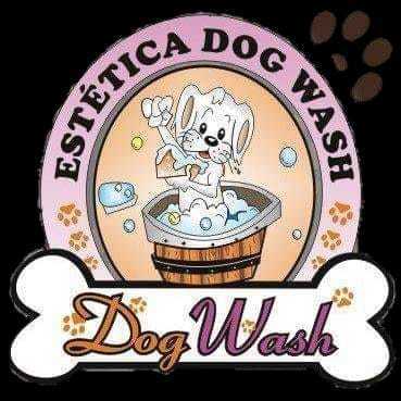 Dog Wash