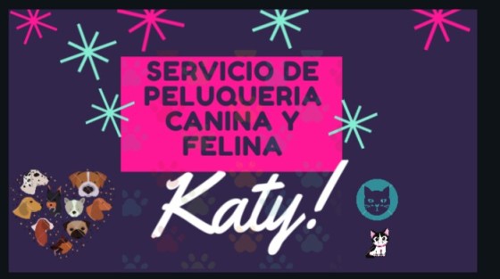 peluqueria