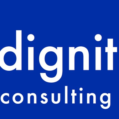 Dignit Consulting Og