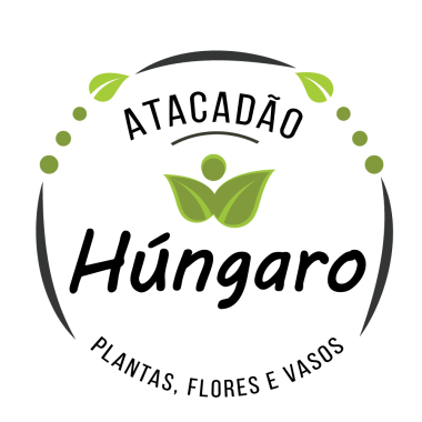 Hungaro Plantas Vasos Ornamentais