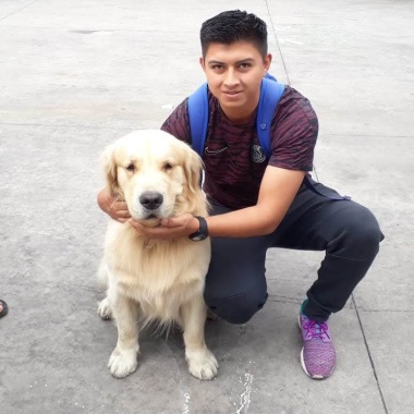 Cuido De Su Mascota