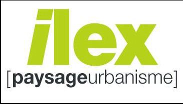 Ilex Paysages