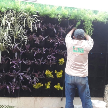 Jardines verticales