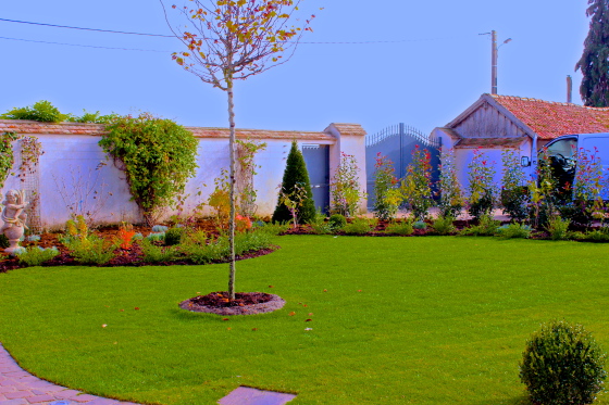 Réaménagement complet d'un jardin de type Chic et Champêtre