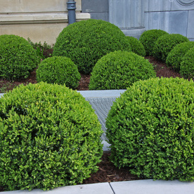 Solverde Espaces Verts