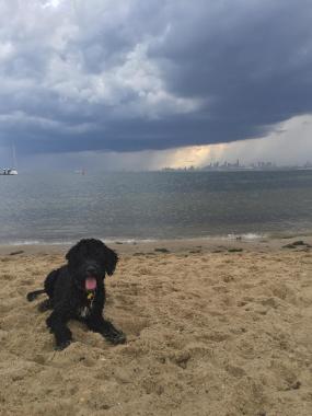 Lenny is more focused on the ball rather than the summer storm.