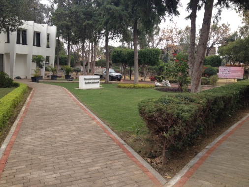 REHABILITACIÓN Y MEJORAMIENTO DE PARQUE MÉXICO.