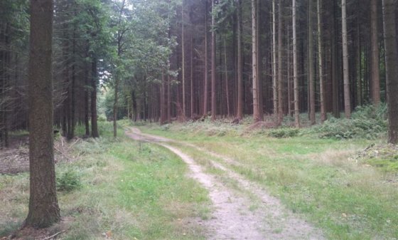Outdoortätigkeiten