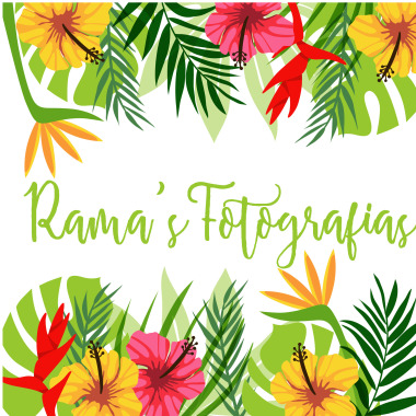 Ramas Fotografía