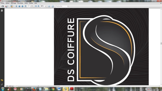 Ds Coiffure