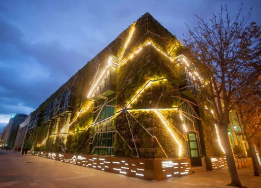 Alijardin, Jardin vertical Palacio Europa, Vitoria-Gasteiz, 5