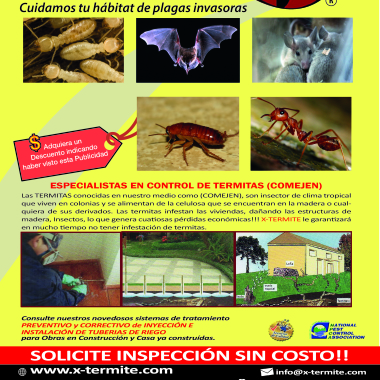 X-Termite