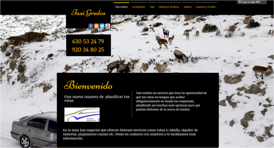Página Web