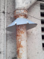 Rat guard Pipe
