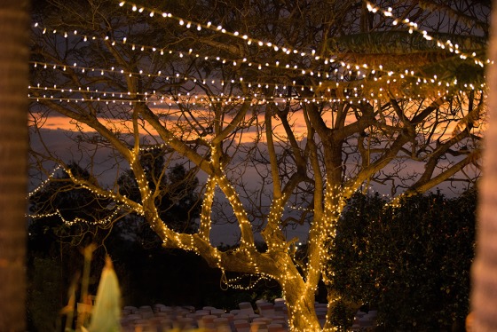 Installation de Guirlandes Lumineuses.