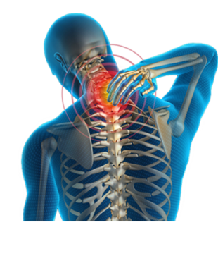 Boli Cię kręgosłup - zapraszamy na terapię manualne  - masaż w połączeniu z terapia punktów spustowych, terapia tkanek miękkich, terapia tkanek glębokich, medycyna manualna, metody specjalne.