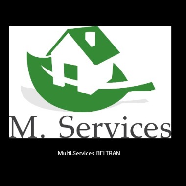 M.Services  Beltran