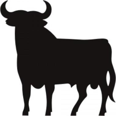Fidelio Srl 