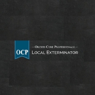 Ocp Bee Removal Tucson Az - Bee Exterminator