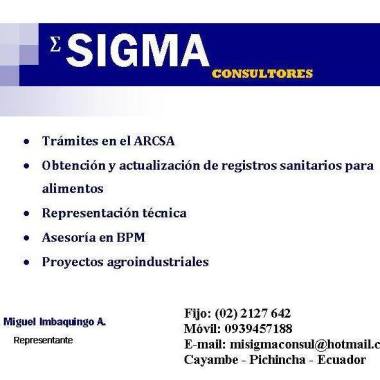 Sigma Consultores