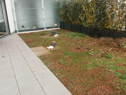 Dachterrasse vorher!
